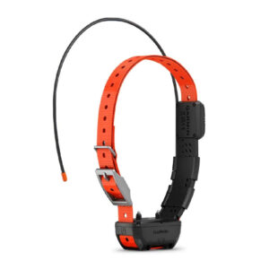 garmin tt25 gps dog collar