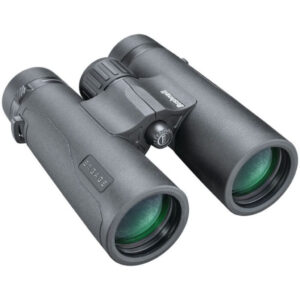 bushnell engage x 10x42