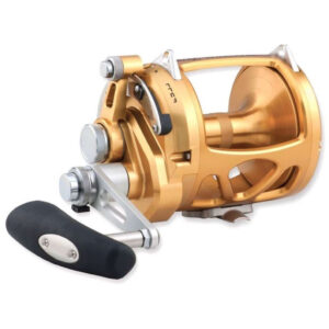 penn reel int vi 2 spd (gold label) int80visw
