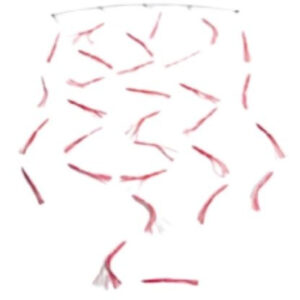 pulsator teazer sailfish bar and bag